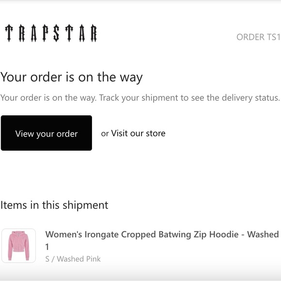 Trapstar Iron Gate Hoodie - Picture 3 of 3